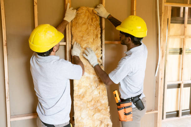 Best Insulation Inspection Services  in Columbia, CA