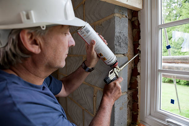 Best Insulation Replacement Services  in Columbia, CA